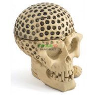 Сувенирен пепелник - човешки череп с формата на топка, снимка 5 - Подаръци за мъже - 15753781