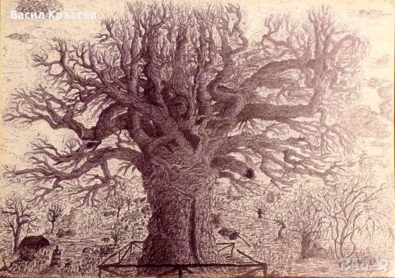  Графики 17 бр. - големи, - Картина „ Аспаруховият дъб ” 1994 г., снимка 1