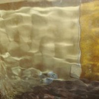 Аквариум, стъклена вана, снимка 3 - Други - 19444151