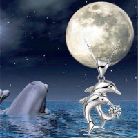 Дамско сребърно колие с формата на делфин Модни аксесоари 2017 посребрен, снимка 14 - Колиета, медальони, синджири - 19479839