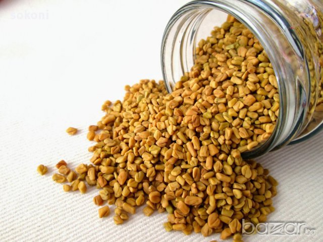 TRS Methi Seeds / ТРС Подправка Семена Сминдух 100гр, снимка 2 - Домашни продукти - 16996708