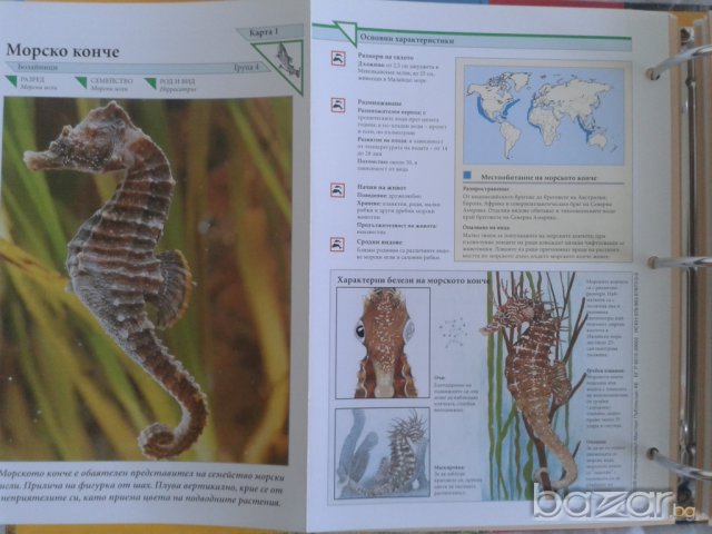 Енциклопедия Чудния свят на животните., снимка 3 - Колекции - 7575824