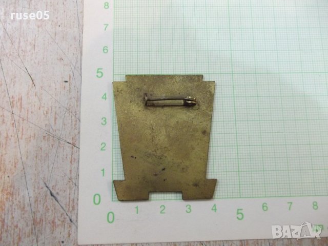 Значка "Niemals ein SS Europa 1954", снимка 2 - Други ценни предмети - 21675036