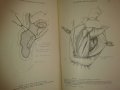 La Pratique Chirurgicale Illustree за бъдещи хирурзи на френски език, снимка 3