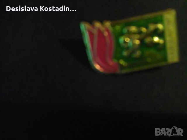 Лот  значки на соца, снимка 8 - Антикварни и старинни предмети - 24171076