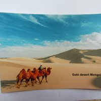 Сет магнит и пощенска картичка от Монголия-Гоби, снимка 5 - Колекции - 21689860