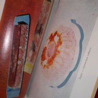 Ястия от месни полуфабрикати и колбаси, снимка 4 - Специализирана литература - 20739127