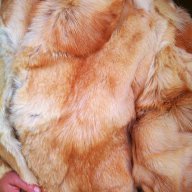 Палто от 100% естествена кожа от лисица, снимка 2 - Палта, манта - 11572087