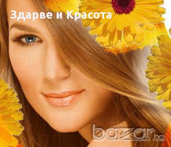 Крем мелкфет с екстракт от невен - 250мл. от Dr. Förster, Germany+подарък , снимка 3 - Козметика за тяло - 11294366