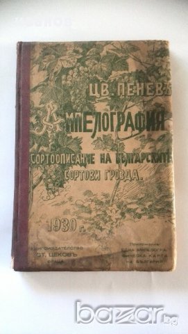 Стара книга за сортописание на гроздя 1930 год Вино грозде