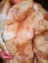 Палто от 100% естествена кожа от лисица, снимка 2