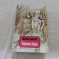 Черният скрин - Джордже Калинеску, снимка 1 - Художествена литература - 22965756