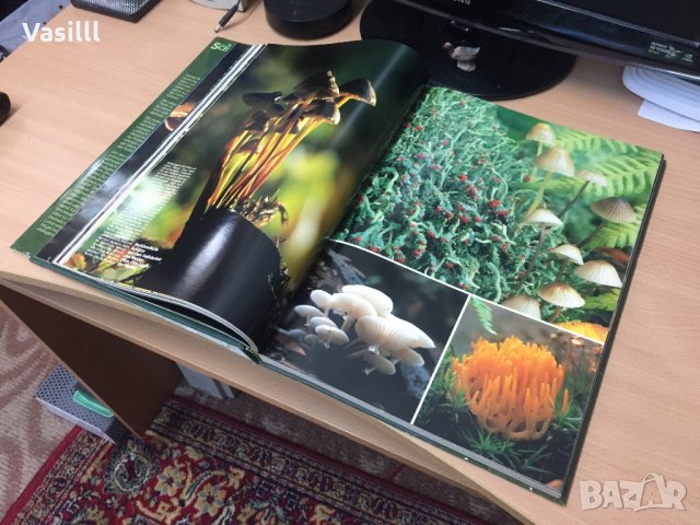 Уникална Немска Енциклопедия/ *1982г* , снимка 7 - Колекции - 23707356