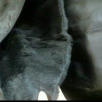 Дамско кожено  палто, снимка 12 - Палта, манта - 22647991