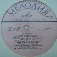Грамофонни плочи - руски и цигански песни , снимка 8 - Грамофонни плочи - 22383819
