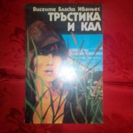 Тръстика и кал-Висенте Бласко Ибаньес, снимка 1 - Художествена литература - 16561362