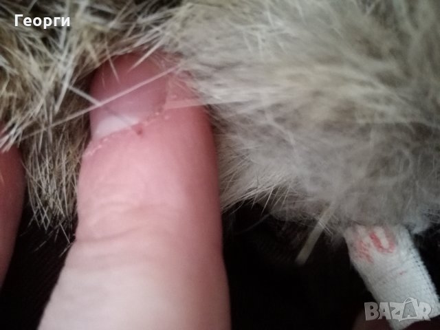 Дамско палто от естествен косъм вълк , снимка 8 - Палта, манта - 23717105