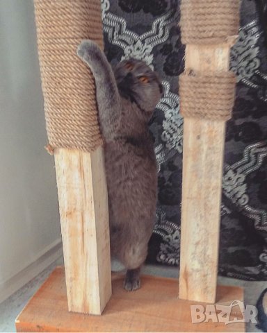Масивна драскалка за котки, снимка 13 - За котки - 26112192