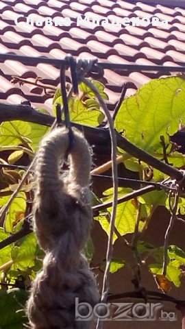 Макраме за саксия, снимка 2 - Декорация за дома - 14736468