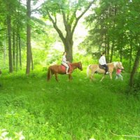Конна езда Голямо Дряново,Казанлък, снимка 14 - Други спортове - 13686705