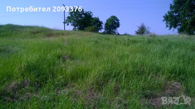 Парцел с. Звездица, снимка 13 - Парцели - 23007156