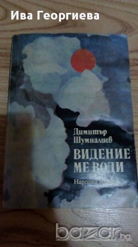 Видение ме води - Димитър Шумналиев