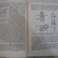 Книга "Биология и болести на пчелите - Ал.Тошков" - 248 стр., снимка 5 - Специализирана литература - 21803351