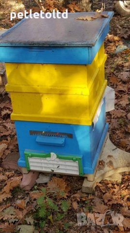 Пластмасово дъно с прашецоуловител, тавичка и чекмедже за 10-рамков кошер, снимка 7 - За пчели - 24461340