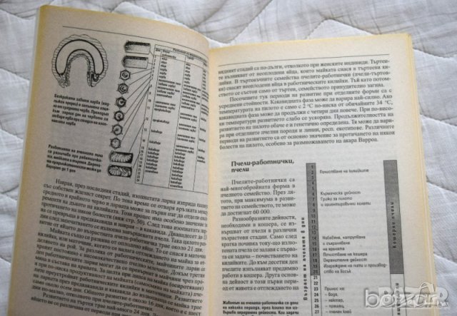 🍯 Болести по пчелите Волфганг Ритер, снимка 4 - Специализирана литература - 23431659