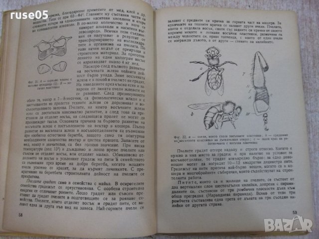 Книга "Биология и болести на пчелите - Ал.Тошков" - 248 стр., снимка 5 - Специализирана литература - 21803351