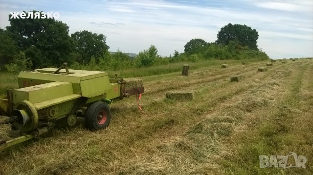 животни, снимка 3 - За селскостопански - 23642096