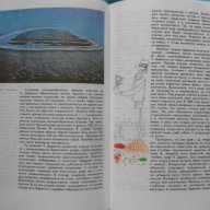 Донат Наумов - Мир океана. Рассказы о флоре и фауне океана, снимка 4 - Художествена литература - 15273699