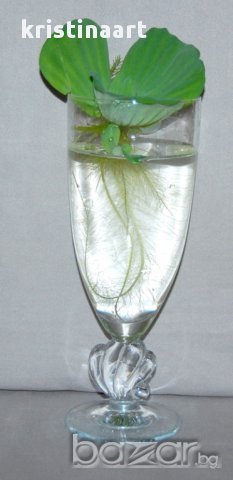 Универсални стъклени чаши-бонбониера 3бр, снимка 5 - Чаши - 13428144