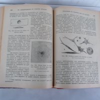 Основите на живота Популярна биология Том 1 - В. В. Лункевич 1942 година, снимка 3 - Специализирана литература - 24066946
