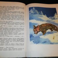 Меча полянка 1954, снимка 6 - Детски книжки - 22743401