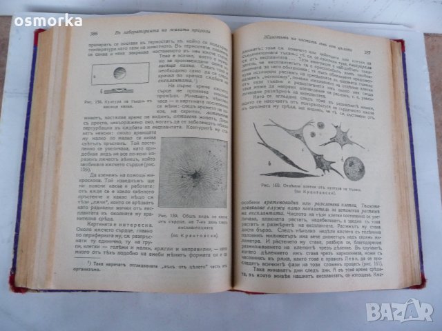 Основите на живота Популярна биология Том 1 - В. В. Лункевич 1942 година, снимка 3 - Специализирана литература - 24066946