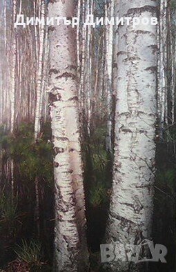 Мелодии русского леса, снимка 2 - Енциклопедии, справочници - 23545097