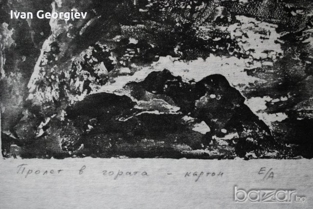 Стара картина,графика,"Пролет в гората", Б.Петков,1970 г.-1, снимка 3 - Картини - 21273248