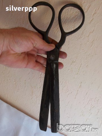  Голяма стара ножица 