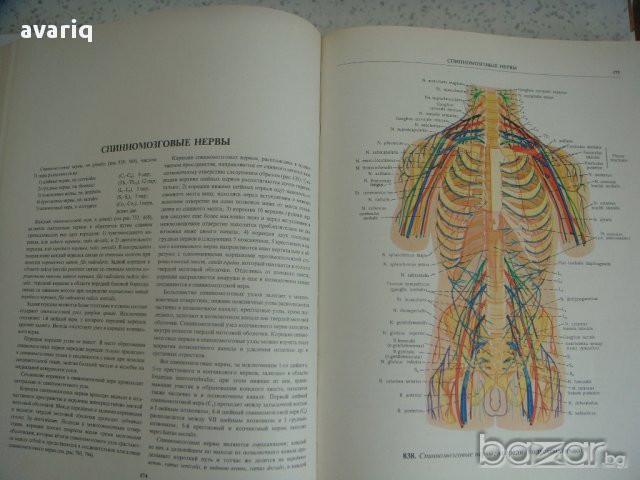 Атласи по анатомия на човека Синелников, снимка 14 - Енциклопедии, справочници - 16689471