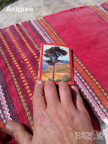 Стара брошура Батак, снимка 2 - Колекции - 24953572