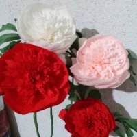 Цветя от хартия-божури, снимка 3 - Изкуствени цветя - 24675749