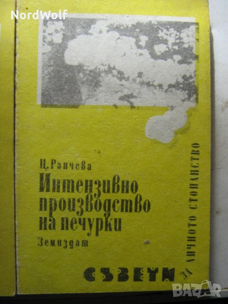Интензивно отглеждане на печурки, снимка 1