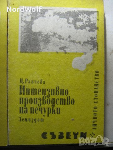 Интензивно отглеждане на печурки