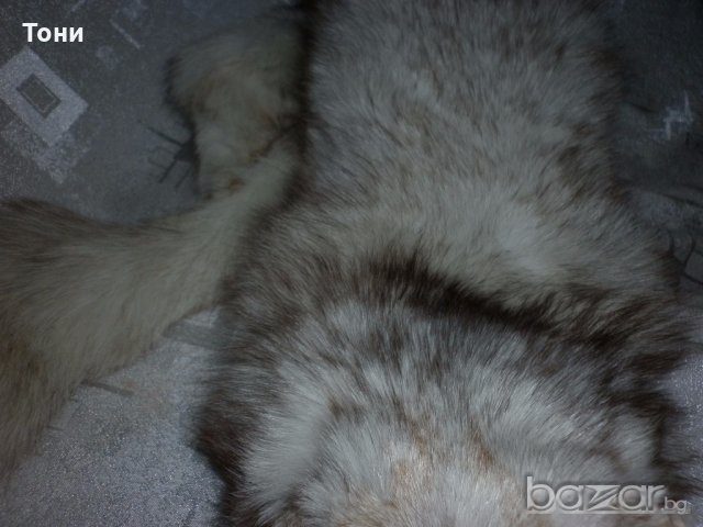  Шал яка от полярна бяла лисица , снимка 12 - Шапки - 19116831