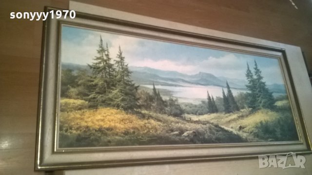 картина с рамка-внос швеицария-111х51см, снимка 6 - Колекции - 25516623