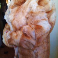 Палто от 100% естествена кожа от лисица, снимка 17 - Палта, манта - 11572087