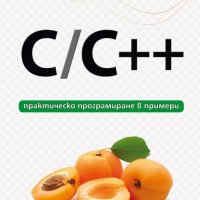 C/C ++ - практическо програмиране в примери, снимка 1 - Специализирана литература - 19675331