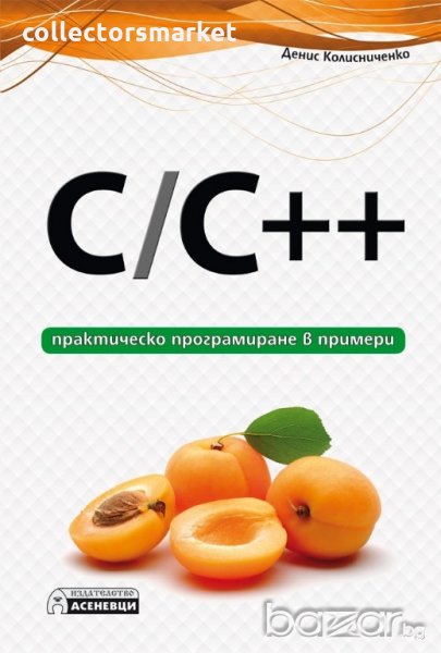 C/C ++ - практическо програмиране в примери, снимка 1