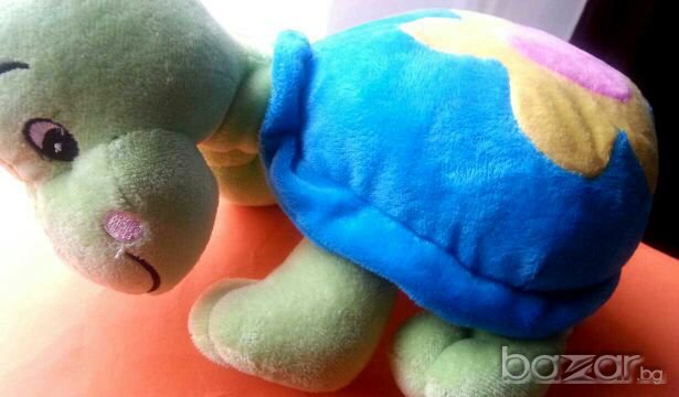 Костенурка--30см.